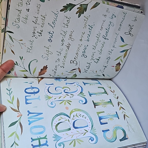 How To Be A Wildflower. A Field guide by Katie Daisy (Hard Cover Book) - Picture 6 of 8